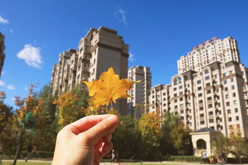 秋日溫情|用心營造溫暖，許您幸福且美好的日常