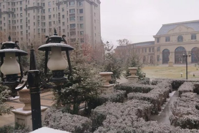 【初雪】一不小心，陪您跨過了季節的更替