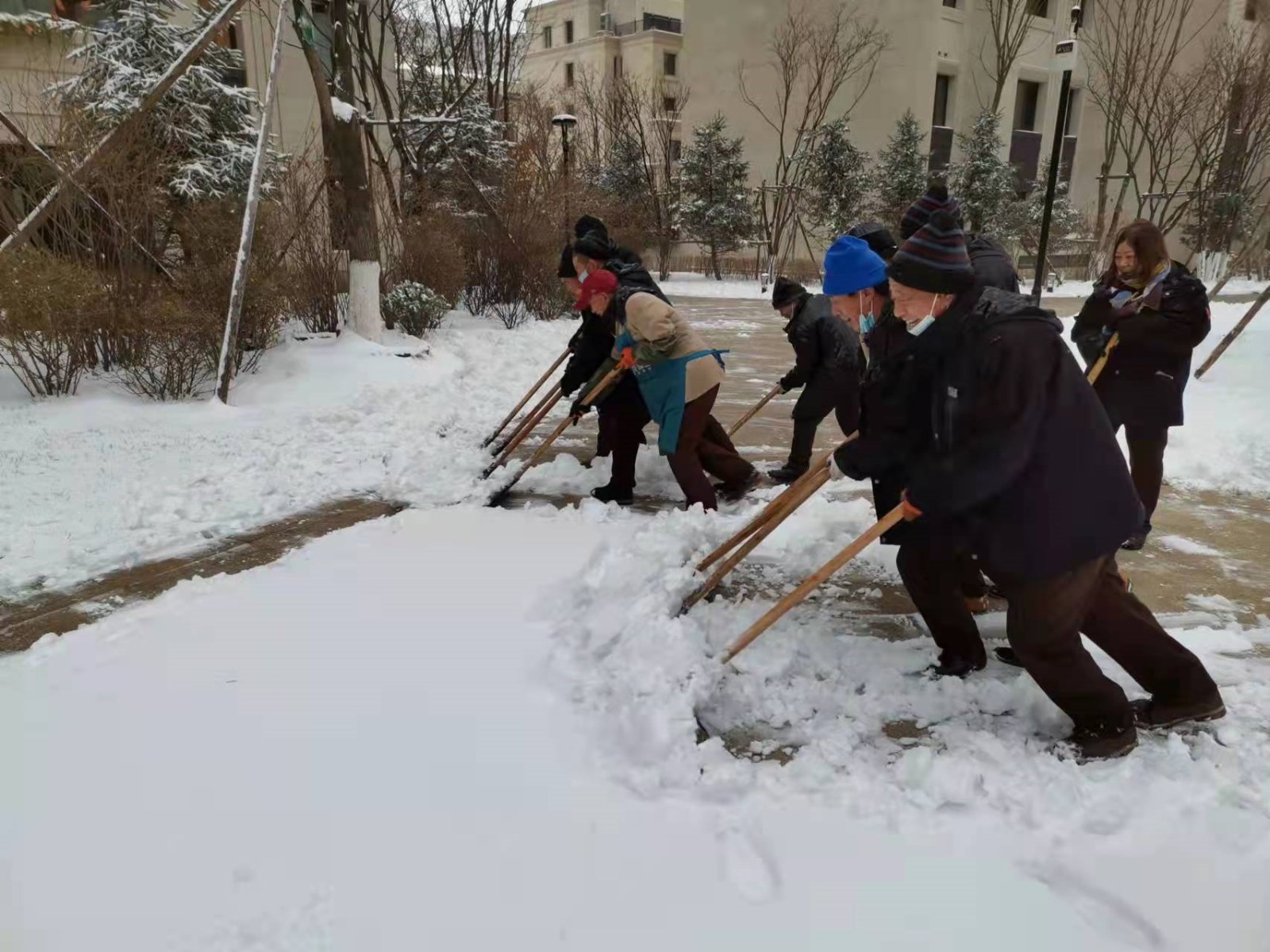 暴雪驟降！哈爾濱物業(yè)吹響“集結(jié)號”！連夜清雪、緊急迎戰(zhàn)！