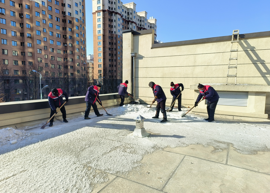 欣匯龍物業 | 園區屋面積雪清理、清冰溜消除安全隱患