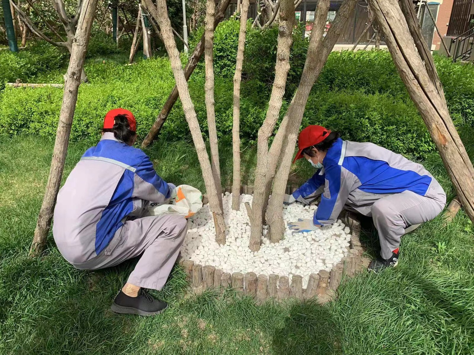 欣匯龍物業(yè)丨煥新行動 扮靚園區(qū)顏值