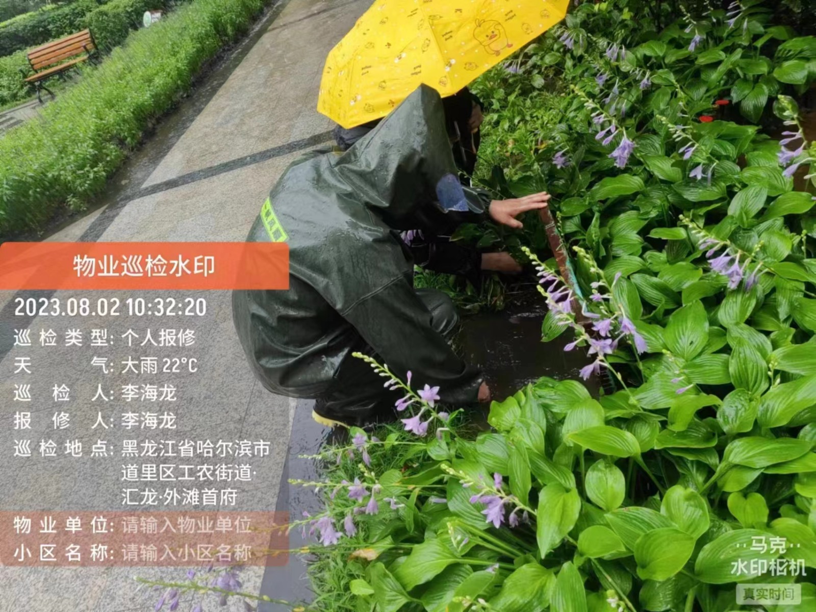 致敬防汛物業人 | 迎戰強降雨 哈爾濱物企持續奮戰 全力筑牢物業小區防內澇安全防線