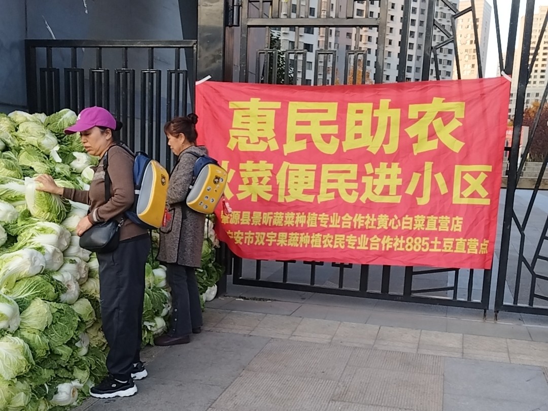 惠民助農，秋菜來咯！“首批秋菜剛上市，就搬進了我們家小區”