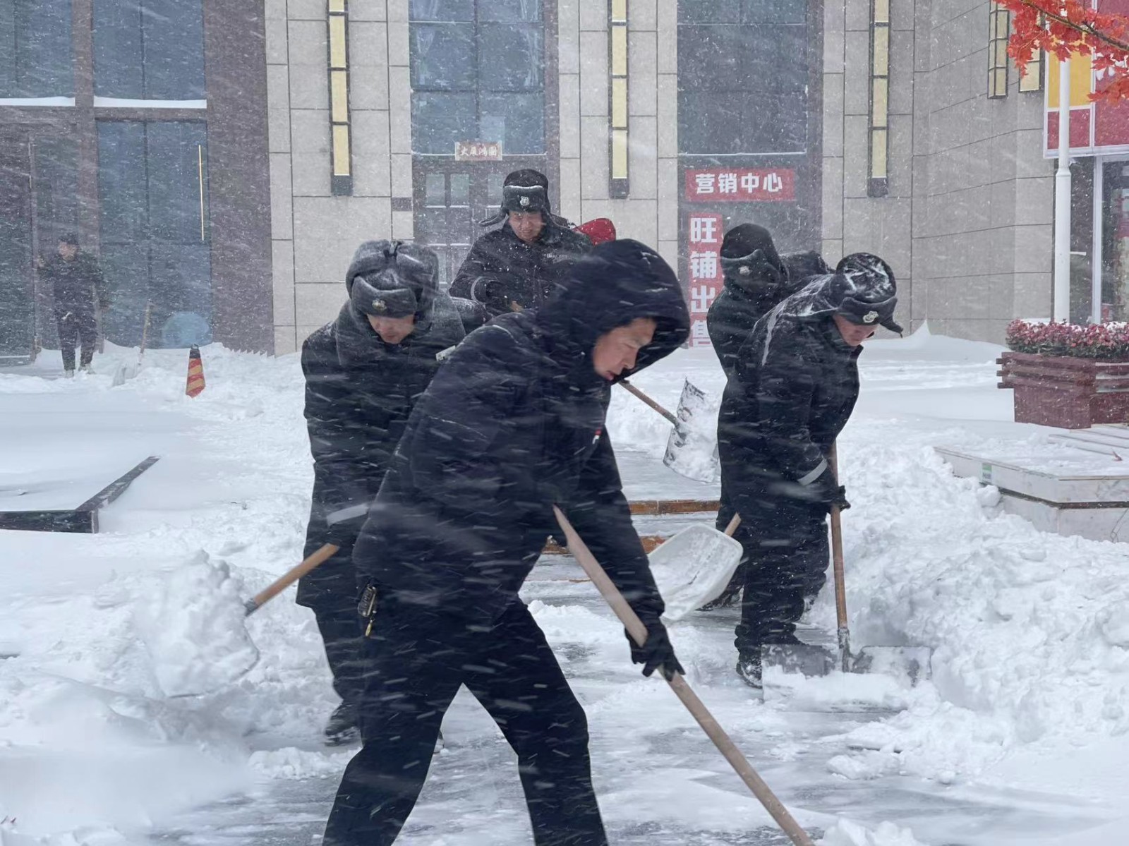 抗擊暴風雪|欣匯龍物業打響防凍、除冰雪攻堅戰！